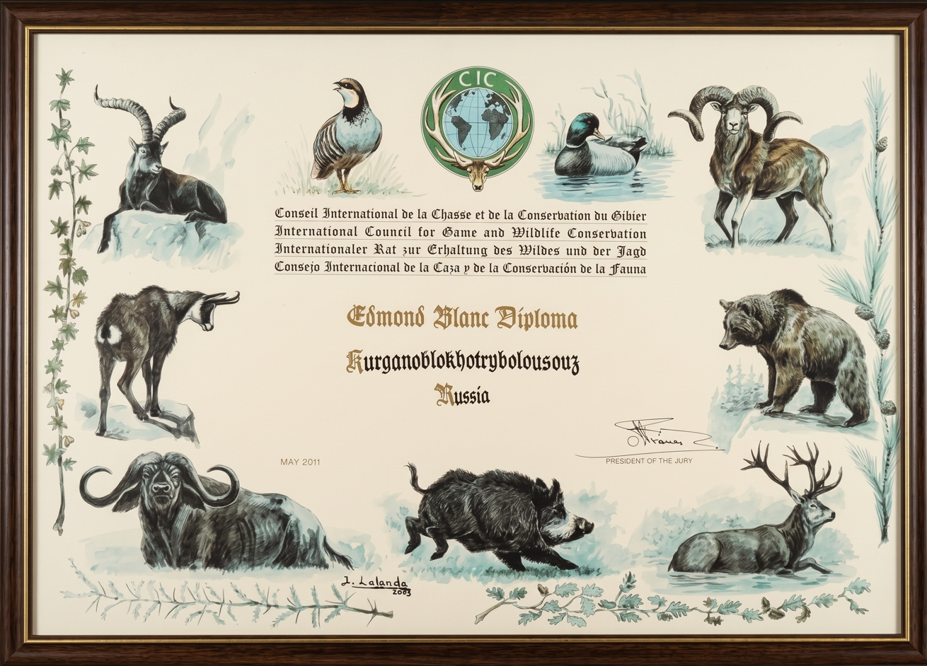 Диплом CIC — Esmond Martin Diploma, 2011